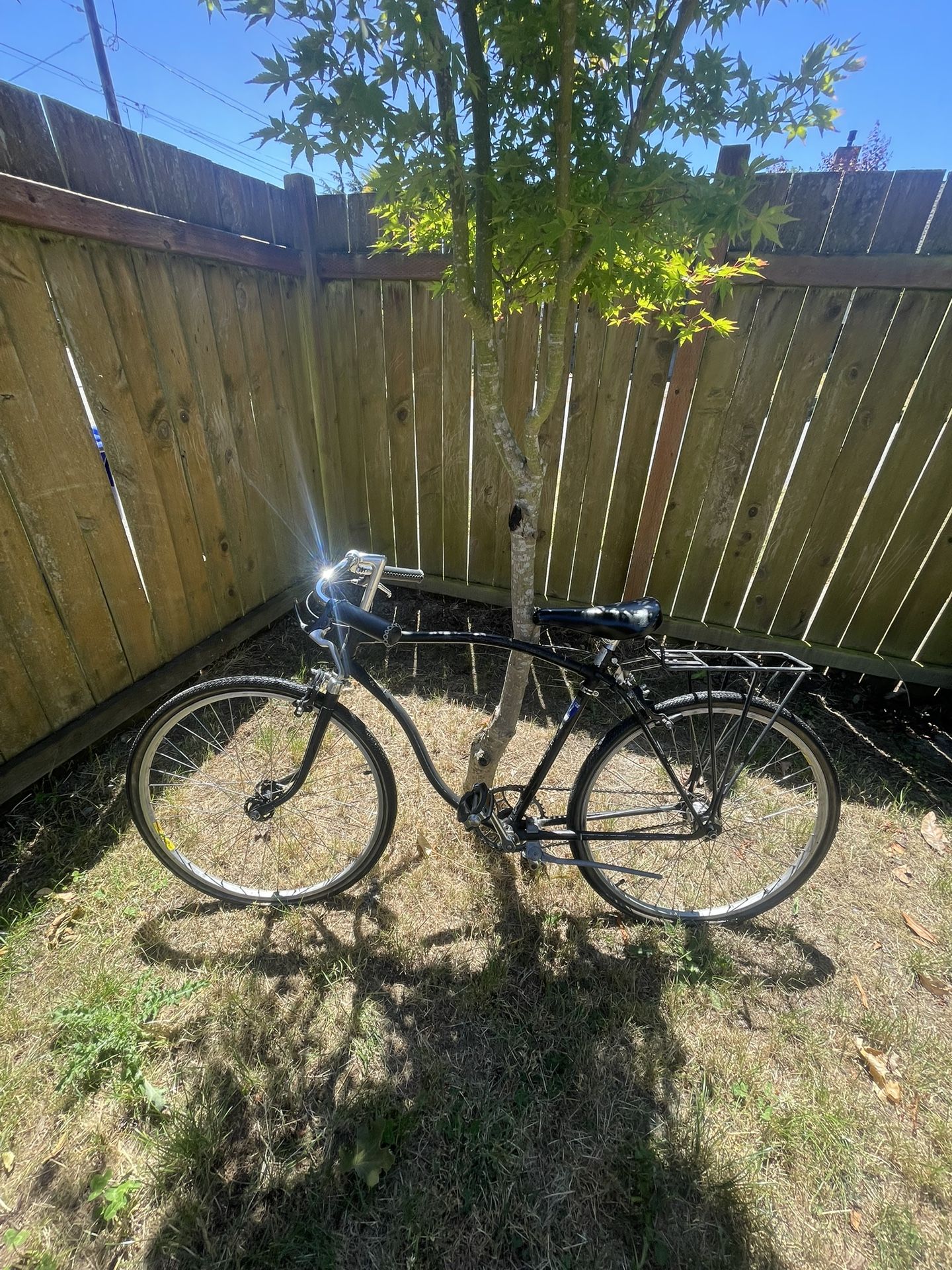 Women’s Hercules Cruiser Bike