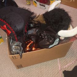 Halloween Costume Lot with Accessories