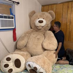 GIANT BEAR!!!
