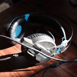 PlayStation Gaming Headset