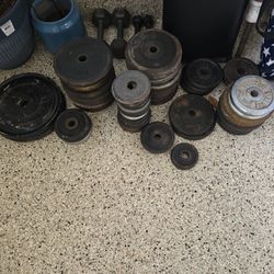 Assorted Standard Size Weight Plates