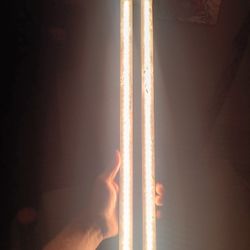 Grow Lights 30 Bucks For The 2 Sets 
