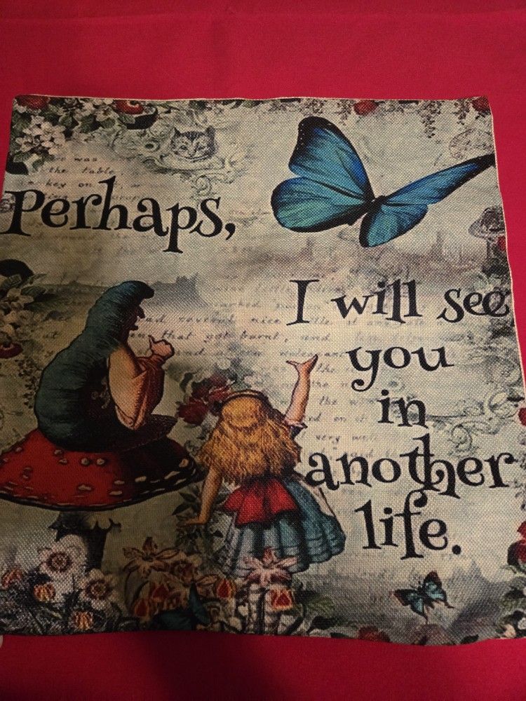 17"  By  17" Alice In Wonderland Pillow Case