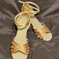 Unknown Brand Dance Shoes Ladies Size 4.5