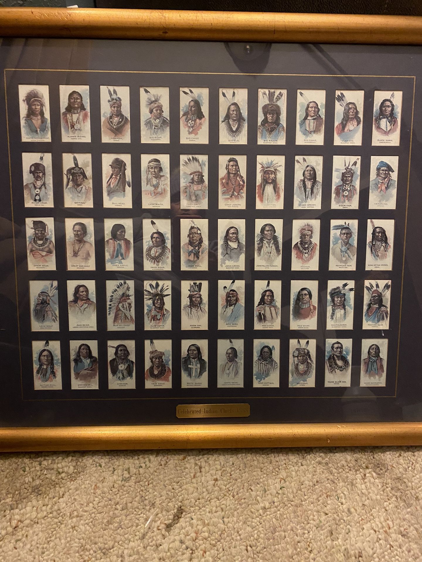 Framed 1888 Indian Chief Tobacco Cards
