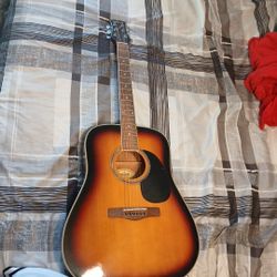 Mitchell guitar 