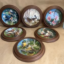 Kevin Daniel Decorative Bird Plates