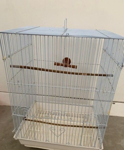 Cages Lady Gouldian Finches