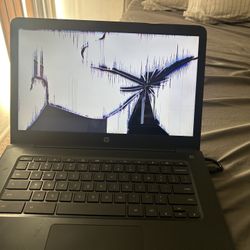 Hp Chrome Laptop 