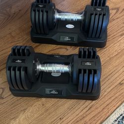 Flybird Adjustable Dumbbell Set