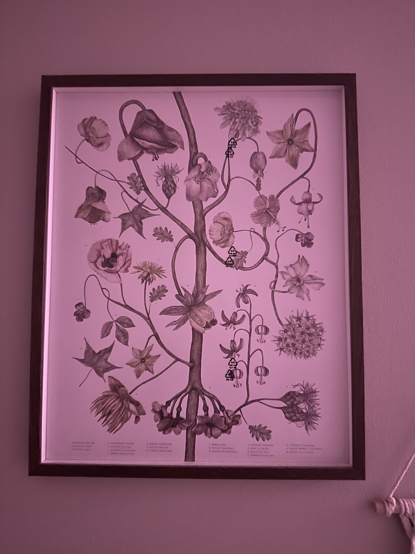 IKEA Hovsta Frame With Poster Vintage Flowers 2 Pack 40 x 50cm 16 x 20in