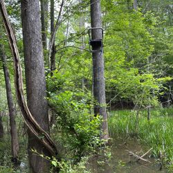 12 Foot Deer stand