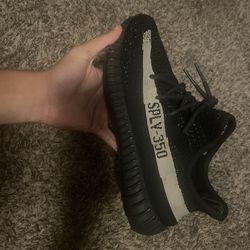 Yeezy 350
