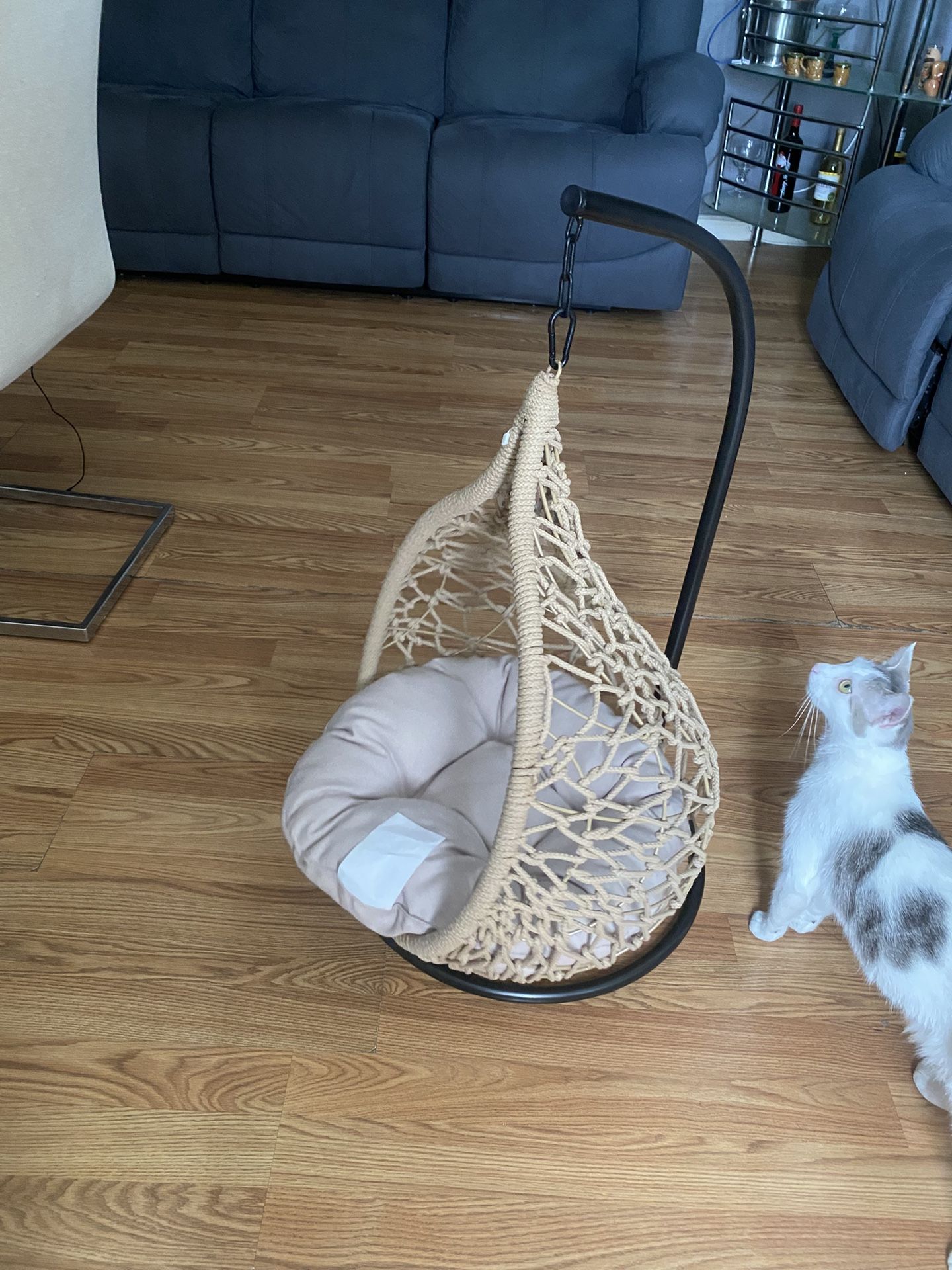 Cat Hammock