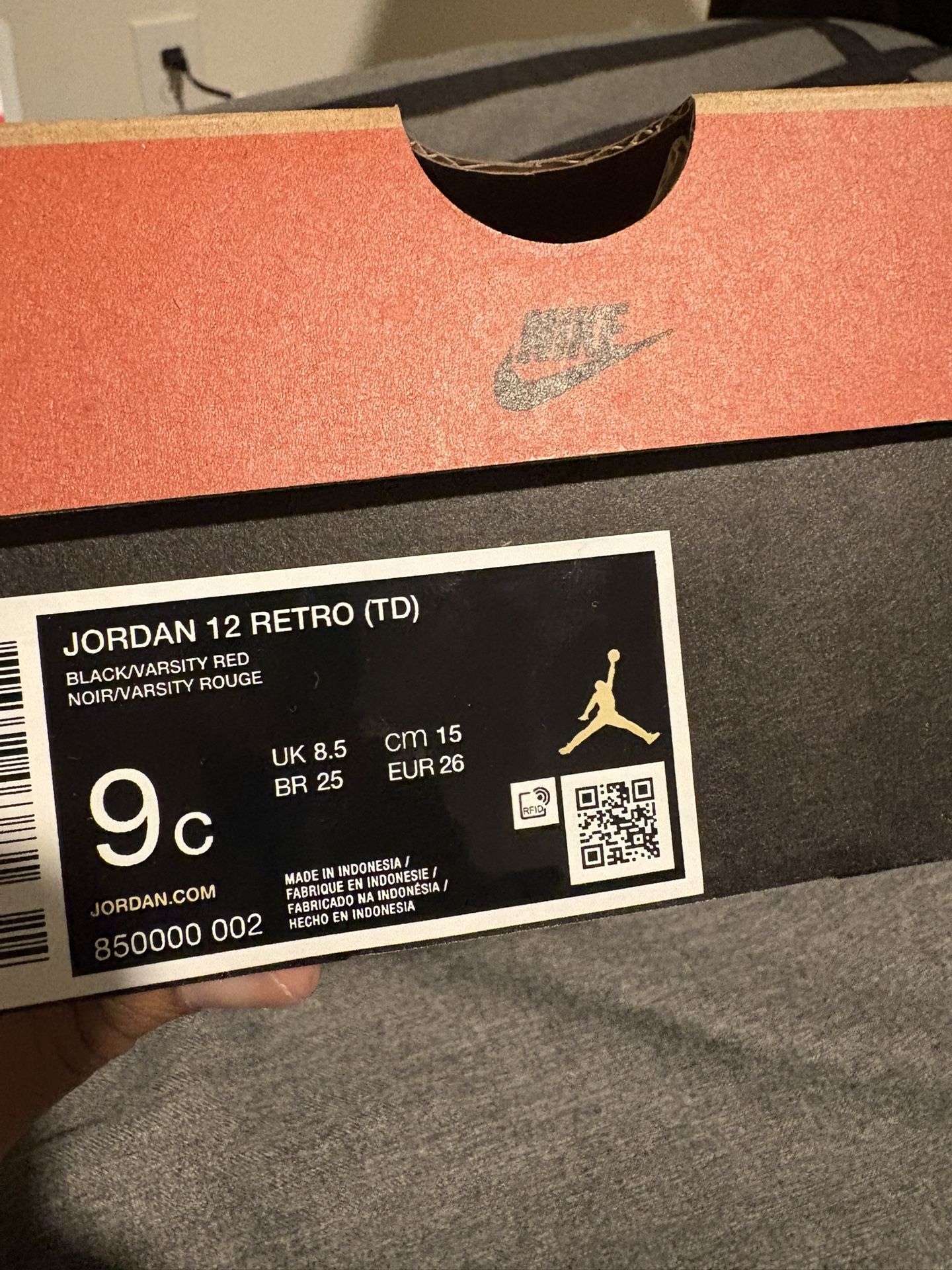 Jordan Retro 12