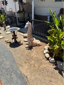 George the Giraffe