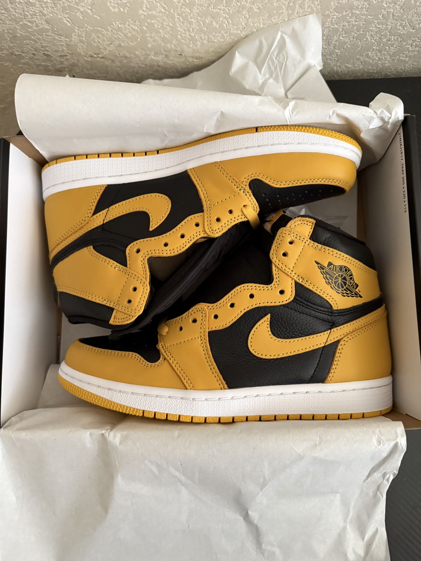 Air Jordan 1 Pollen