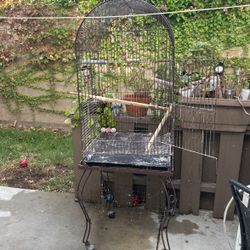 Cage