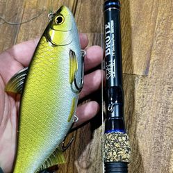 Just Add Reel! Big Swimbait Rod And Lures 