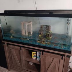 75 Gallon Fish Tank