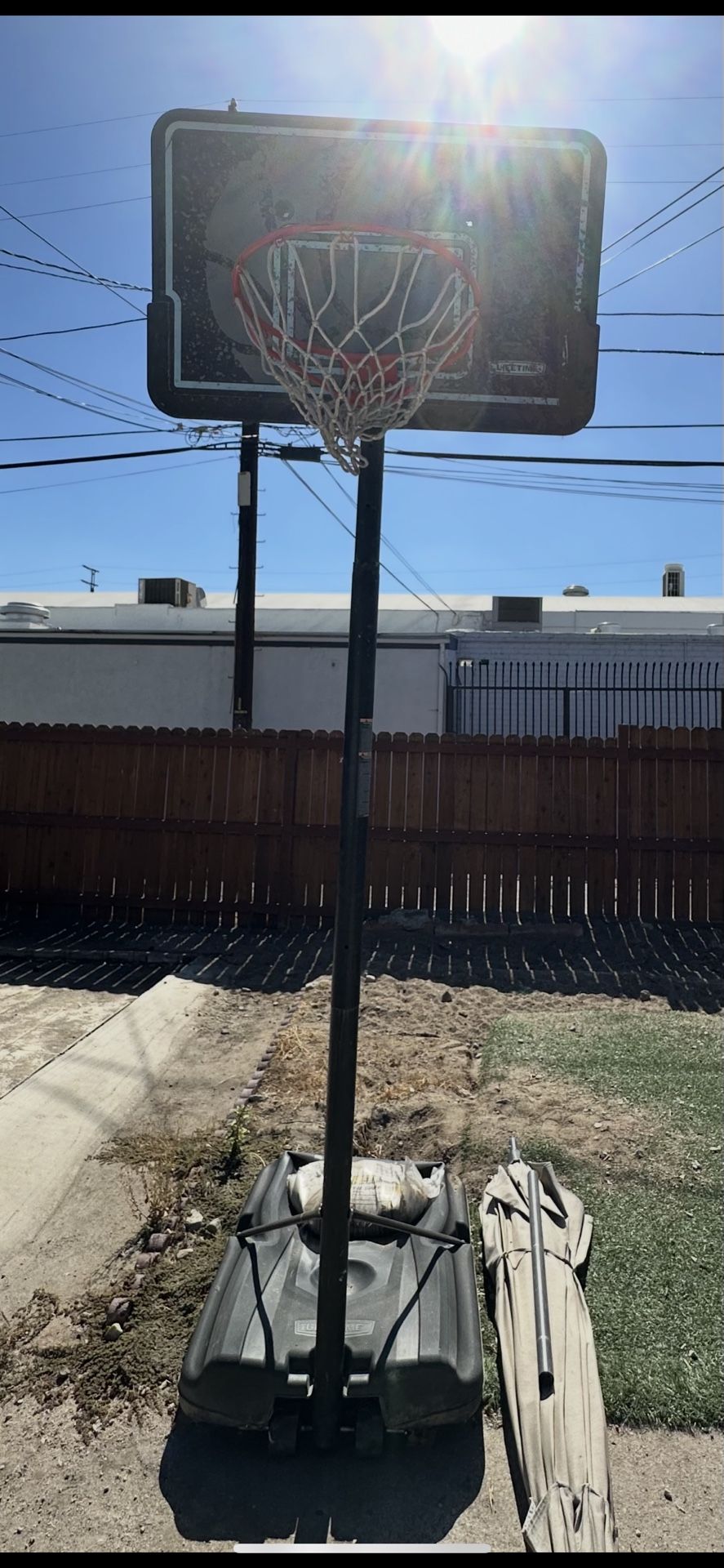 Lifetime Basketball Hoop