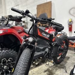 ELECTRIC BIKE 
