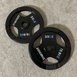 Olympic Weights 35LB Pair 