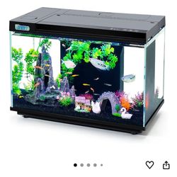 Fish Tank-6 Gallon