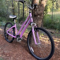 Trek Bicycle 