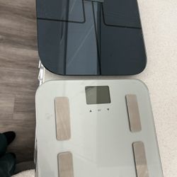 Weight Scale 