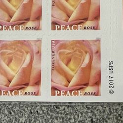 Peace Rose Forever Stamps (100)