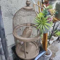 Plant Sale ☘️🌵 🌸🌹 🌴🌴 