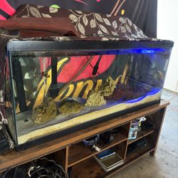 75 gallon fish tank