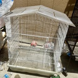 Bird Cage 