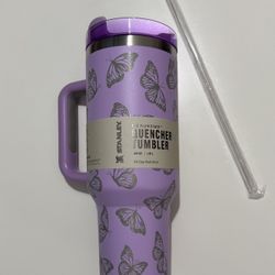 Butterfly Disney Princess Laser engraved Custom Stanley