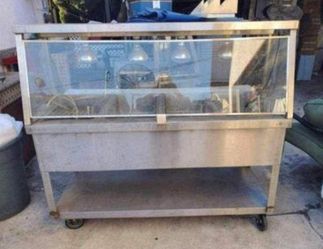 Electric steam table