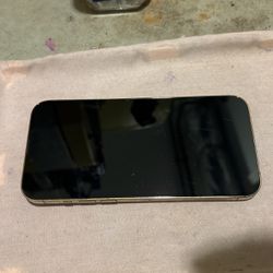 AT&T Gold iPhone 13 Pro Max 256GB