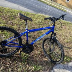 24’ Roadmaster Bicycle 