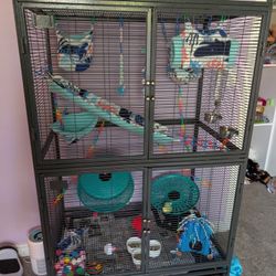 Sugar Glider Enclosure 