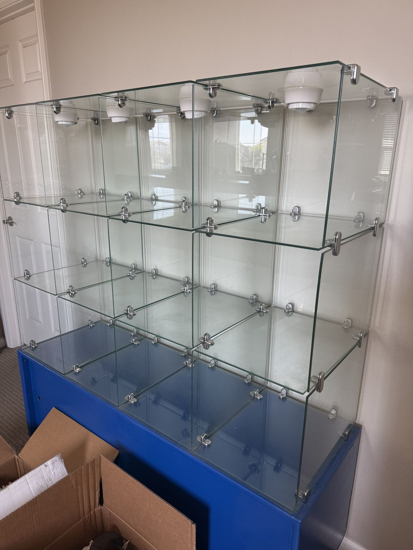 Glass Display Case 