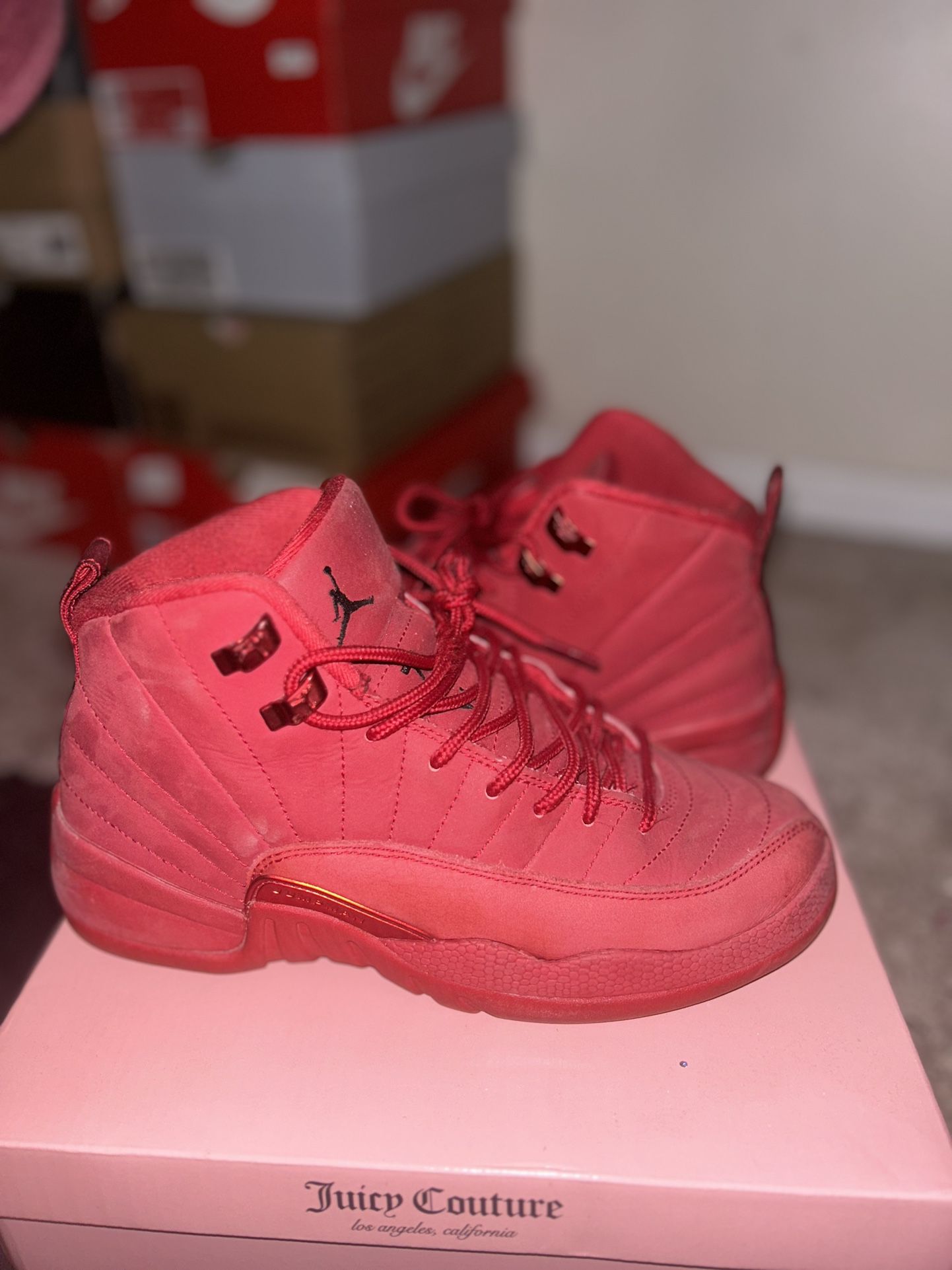 Jordan 12 