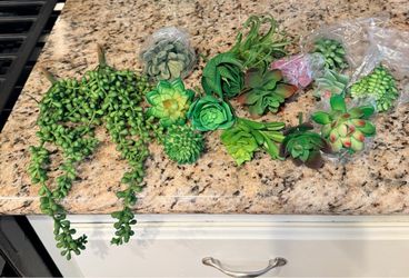 New Artificial Succulent Plants Assorted Set