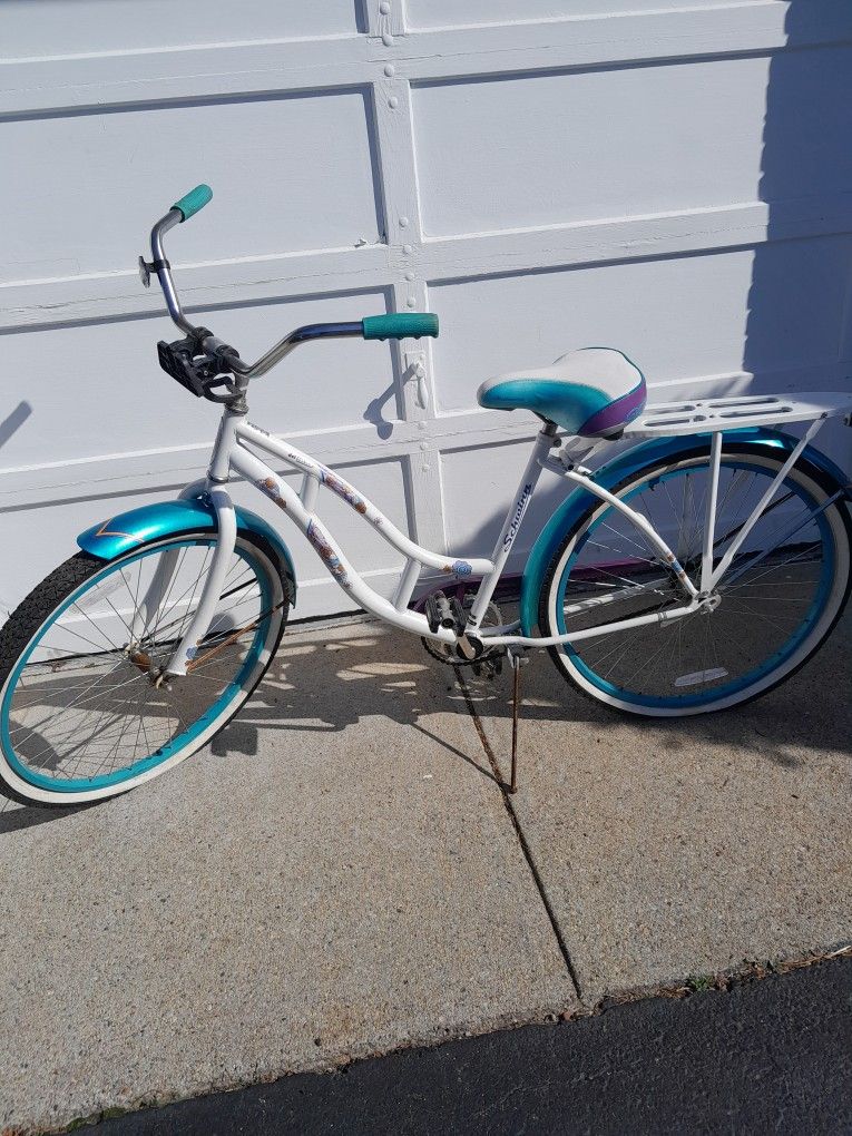 Schwinn Cruiser