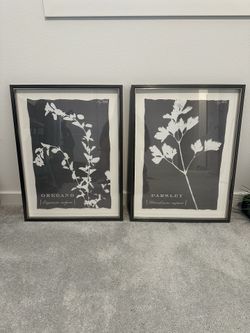 Art Work. Not Picture Frames.