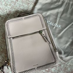 Calpak 15 inch Laptop Backpack in Blush