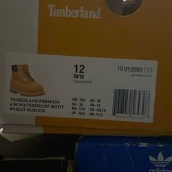 2 Toddlers Timberland Boots