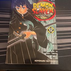 Demon slayer 12