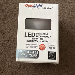 LED Lamp Dimmable 2700K Warm White