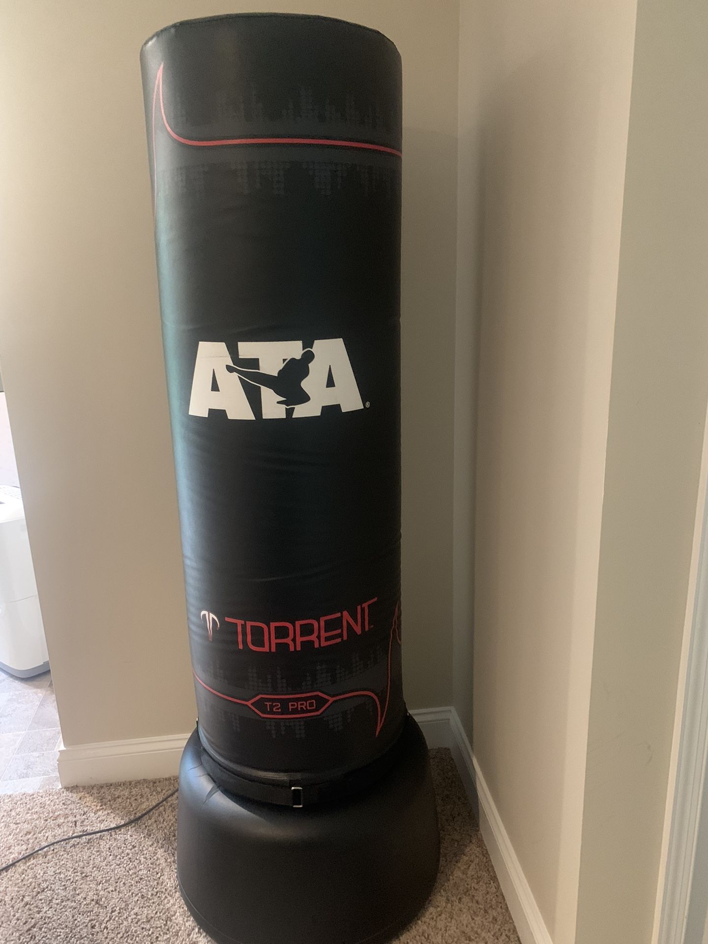 Torrent T2 PRO