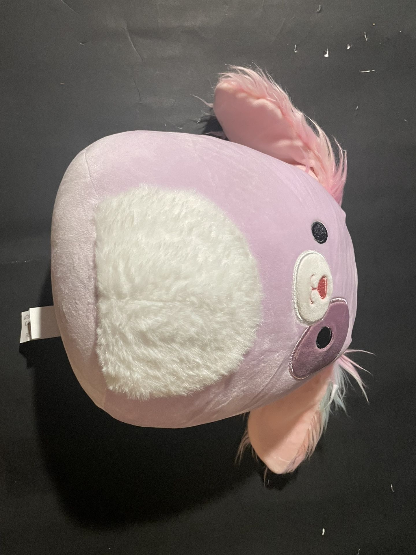 Squishmallows Barb 8” Great Condition